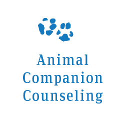 Animal Companion Counseling