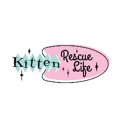 Kitten Rescue Life