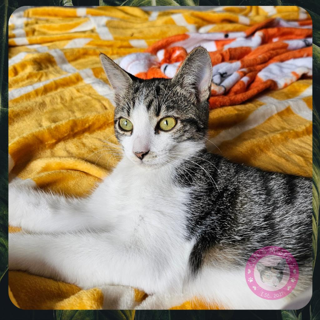 Francisco