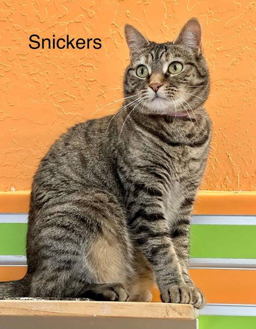snickers