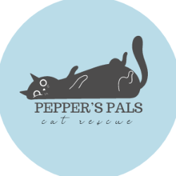 shelter logo